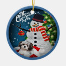 Search for havanese christmas tree decorations Santa