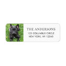 Search for family photo return address labels Pet