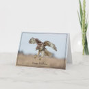 Search for hawk birthday cards Nature