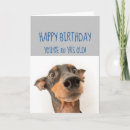 Search for fun 80th birthday cards Happy