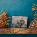 Search for danita delimont plaques Judith zimmerman