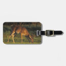 Search for odocoileus accessories Grassland