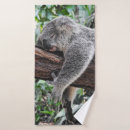 Search for koala bear bath towels Wildlife