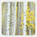 Search for white river stickers Forest