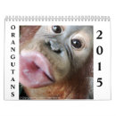 Search for primate photography Animal