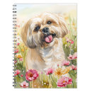 Search for pet gifts For pets