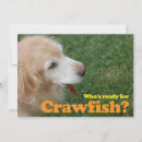 Search for crawfish invitations Outdoor