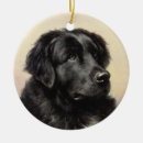 Search for newfoundland dog christmas tree decorations Animal