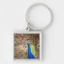 Search for display key rings Animal