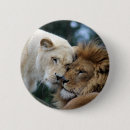 Search for lioness badges Lions