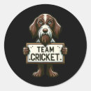 Search for umpire stickers Fast bowler