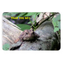 Search for will be toad magnets Humour