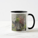 Search for bonsai mugs Asia