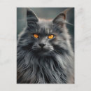 Search for regal postcards Cat lover