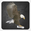 Search for diploma stickers Black