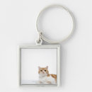 Search for fold key rings Animal