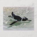 Search for zoos postcards Cute