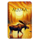 Search for cruise magnets Alaska