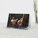 Search for chicken dance cards Funny