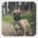 Search for french bulldog love stickers Pet