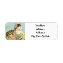 Search for kitten return address labels Flowers