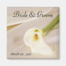 Search for calla magnets White
