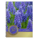 Search for nowruz gifts Nooruz