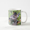 Search for perennials mugs Floral
