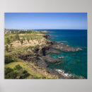 Search for mauritius posters Walter bibikow