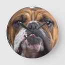 Search for english bulldog clocks Dog lover