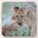 Search for bite coasters Animal body part