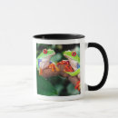 Search for nicaragua mugs Tree frog