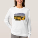 Search for avignon tshirts Walter bibikow