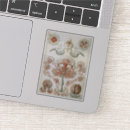 Search for vintage marine stickers Animals