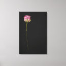Search for three objects art Nobody