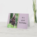 Search for funny bear birthday cards Animal