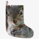Search for squirrel christmas stockings Woodland
