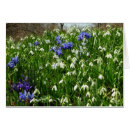 Search for in early spring cards Flowers