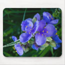 Search for planted mouse mats For him