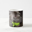Search for dog with ball mugs Animal
