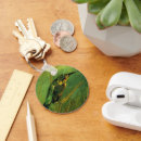Search for kingfisher key rings Nature
