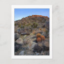 Search for high desert postcards Joshua