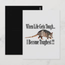Search for armadillo postcards Animal