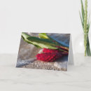 Search for island christmas cards Tropical