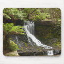 Search for horseshoe mouse mats Waterfall