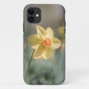 Search for jonquil iphone cases Daffodil