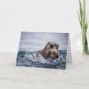 Search for sea otter cards Ocean life
