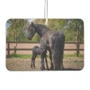 Search for horse car air fresheners Pony