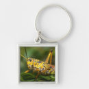 Search for grasshopper key rings Bug