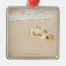 Search for crab christmas tree decorations Beach